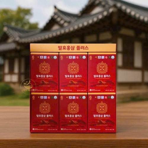 HỒNG SÂM LÊN MEN