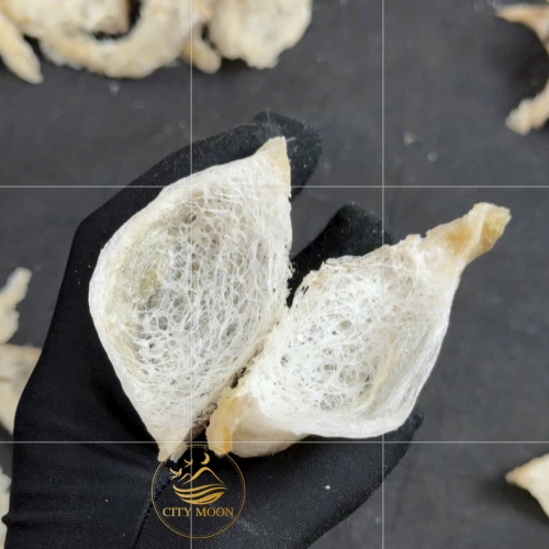 YẾN THÔ GÓC GÂN