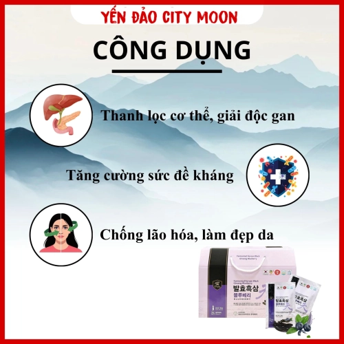 NƯỚC HẮC SÂM VIỆT QUẤT LÊN MEN
